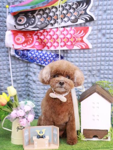 20230506フーちゃん